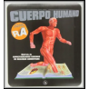 CUERPO HUMANO RA