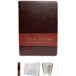 SANTA BIBLIA, LETRA SUPER GIGANTE