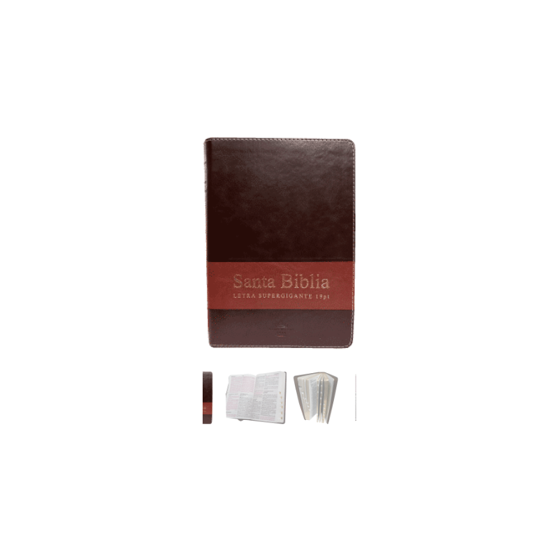 SANTA BIBLIA, LETRA SUPER GIGANTE