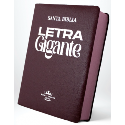 SANTA BIBLIA, LETRA GIGANTE, COLOR VINO FILO PINTADO