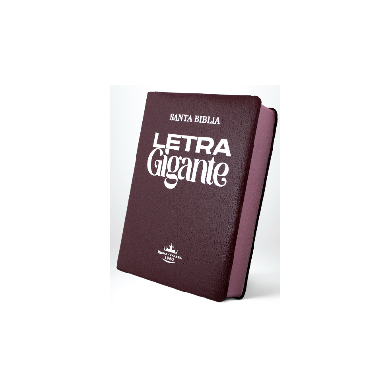 SANTA BIBLIA, LETRA GIGANTE, COLOR VINO FILO PINTADO