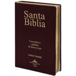 SANTA BIBLIA, PALABRAS DE JESUS EN ROJO, LETRA GRANDE, COLOR VINO