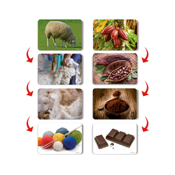 Procesos productivos Dactic
