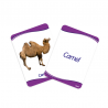 Aniamales Dactic