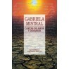 Cartas De Amor Y Desamor
